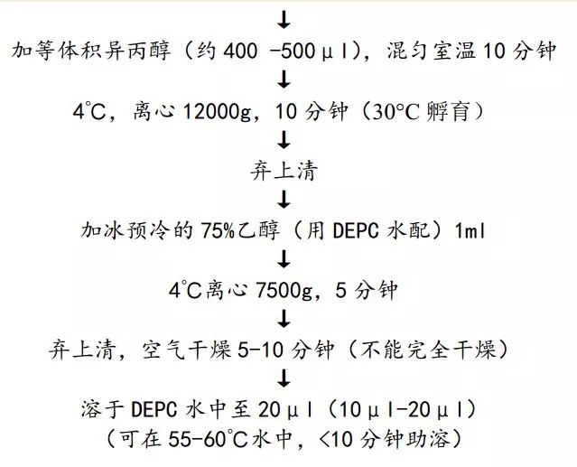 史上最全的30个生物实验技术及原理