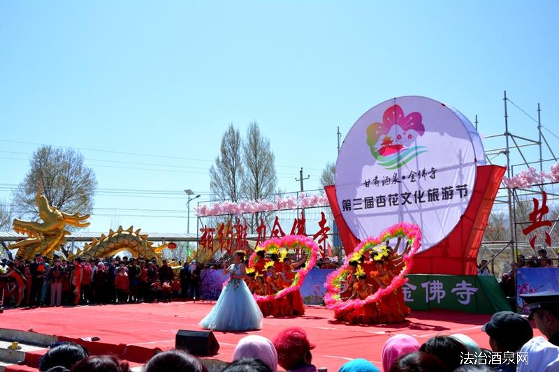 祁连山下杏花开  春风含笑花烂漫——肃州区金佛寺镇第三届杏花文化