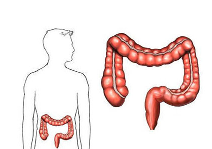 哪些排便习惯的改变预示着肠癌