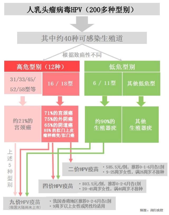 【便民】覆蓋20至45週歲女性,閔行可接種四價宮頸癌疫苗啦!