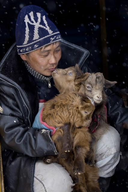 世界最寒冷的国家与我国相邻,到处是冻死的牲畜,人住下水道取暖