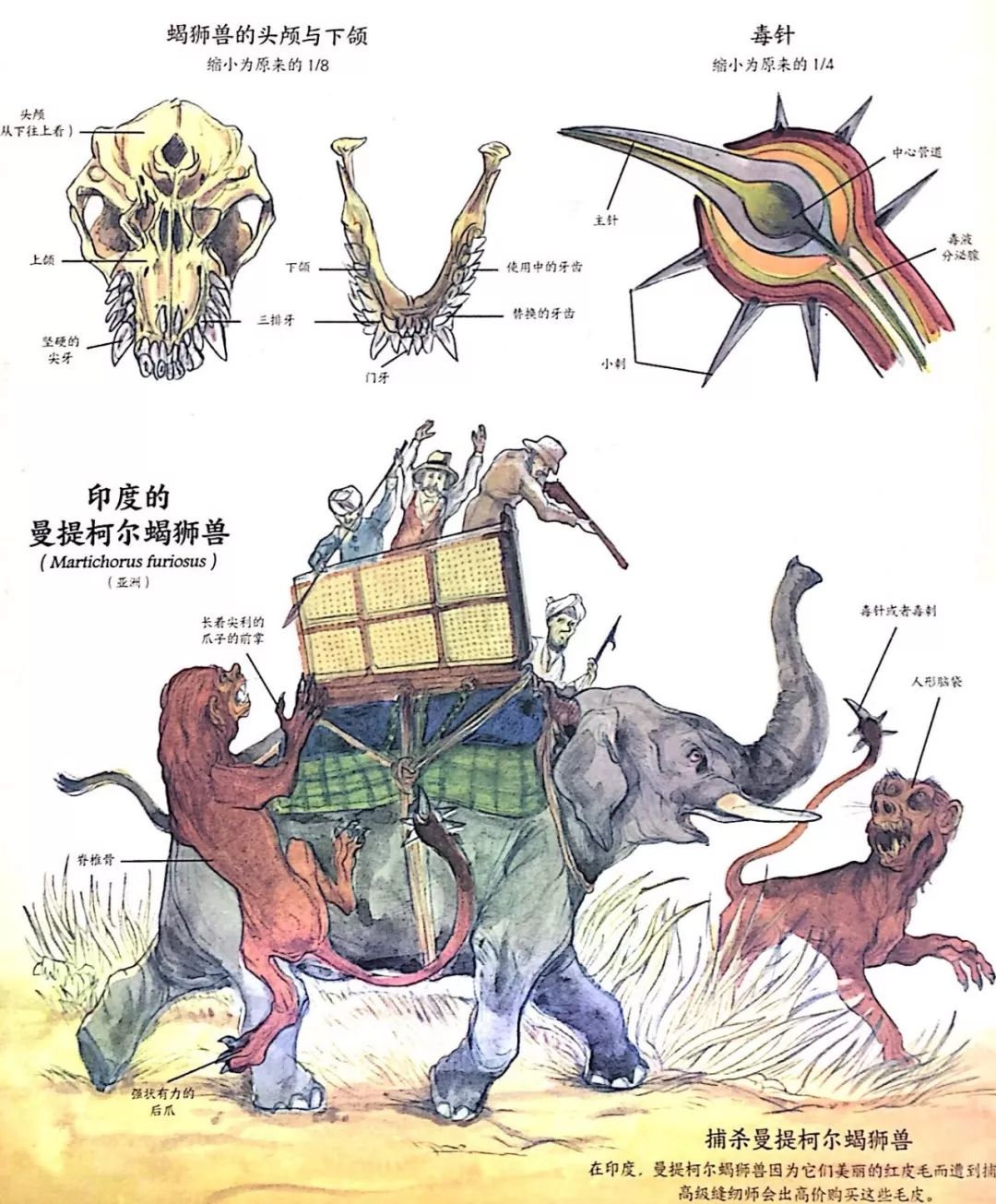 其他的四足兽这些四足兽在1769年出版的《渔猎理论与实践词典》和1844