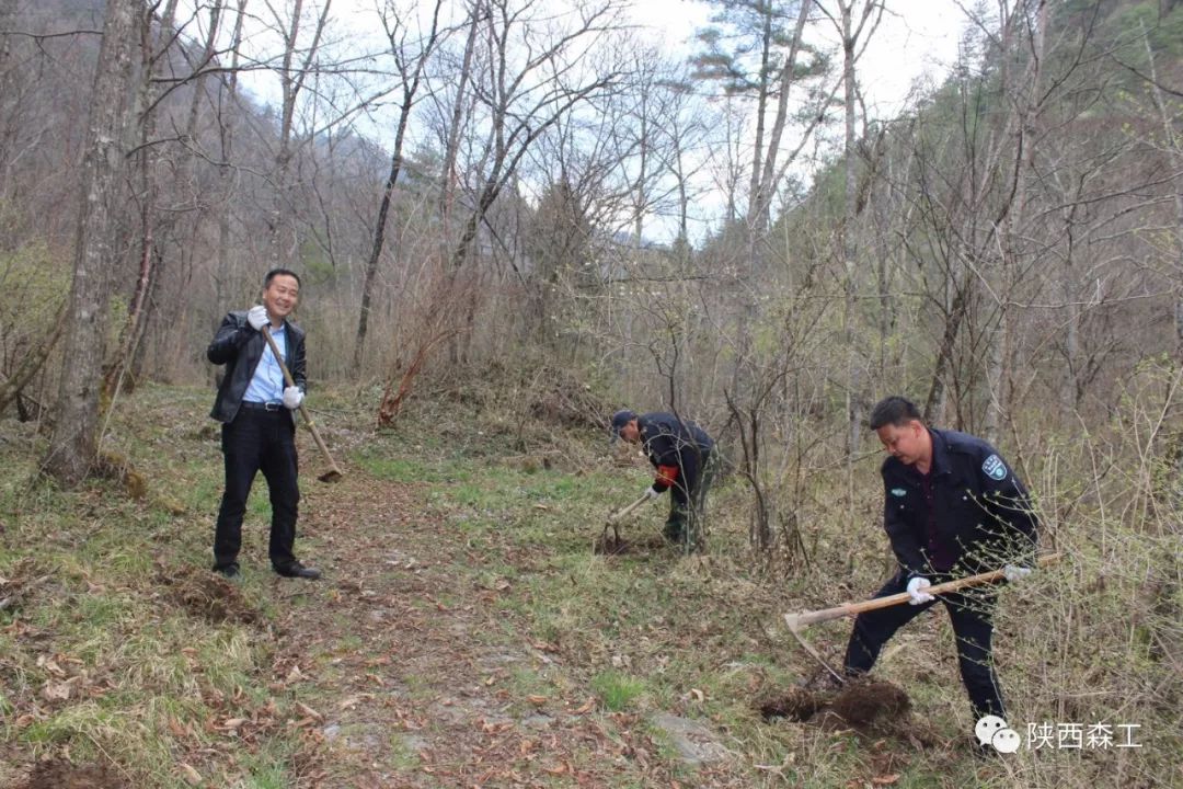 森工簡訊省寧西林業局精心美化朝陽溝森林體驗基地