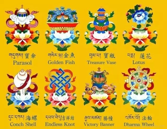 西藏文化攻略篇佛陀的吉祥八宝
