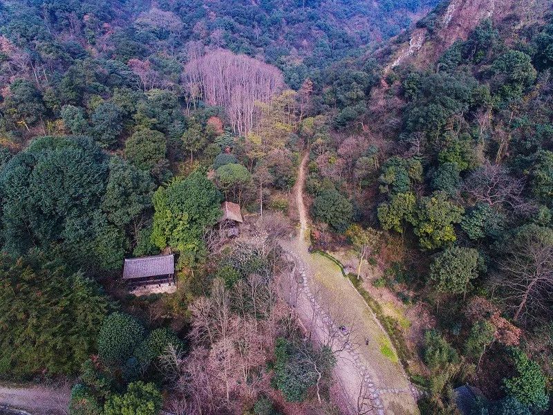 黃公望森林公園3咕嚕咕嚕島溼地公園東吳文化公園江濱南大道公園九仰