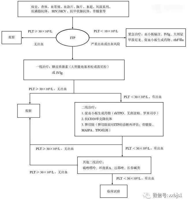 和免疫性血小板减少症长得很像的疾病