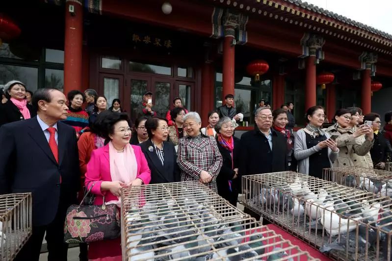 听古海棠花开展新时代风采第九届宋庆龄故居海棠文化节在京开幕