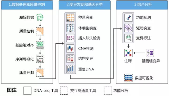 高通量测序技术研究套路及高分实例分析