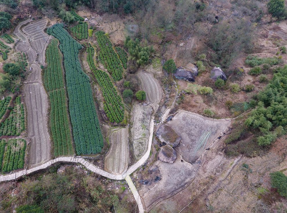 坪垟崗村:漫遊神奇畲寨,靜養心靈居所