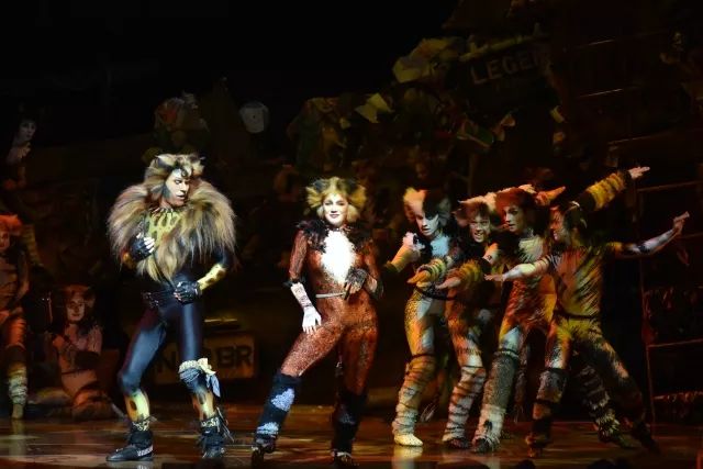 原版英文音乐剧《cats》巡演开启!和世界级的杰里科猫一起fun肆!