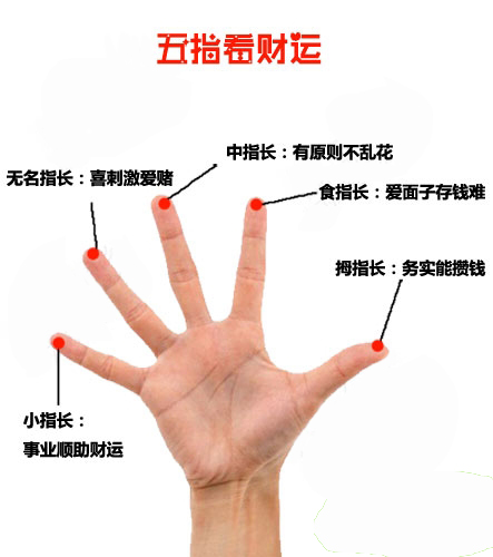 关于手的神奇命理学知识:五根手指长短不同分别代表啥个性!