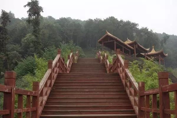 位于铁山坪风景区内的铁山云梯