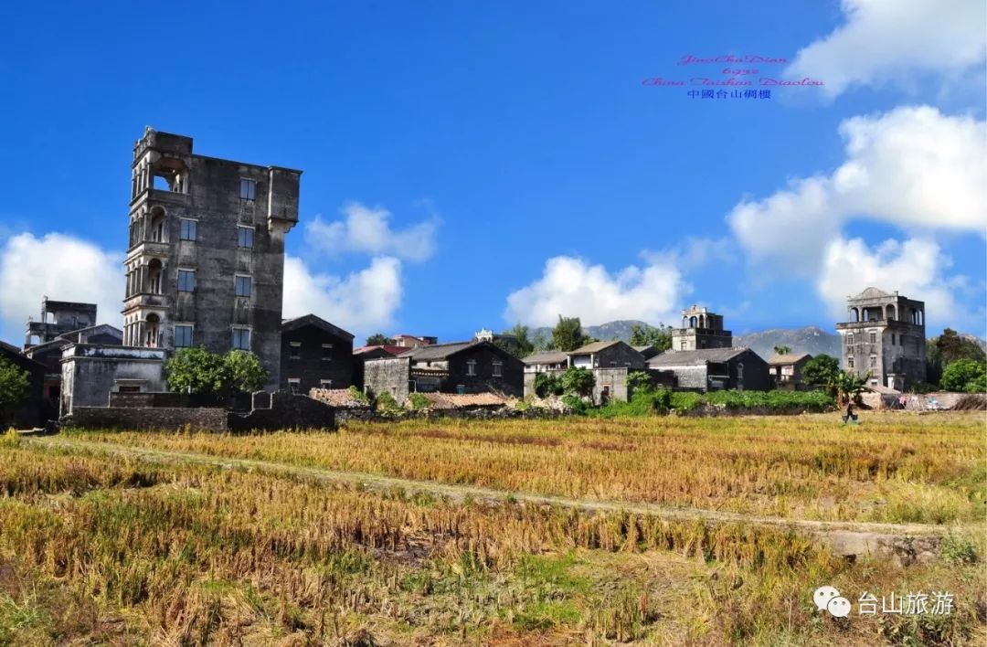 江門美食|江門台山這種廣受歡迎的花,好看又好吃~快來嚐嚐吧!