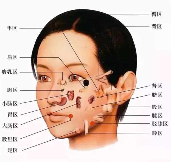 五官的功能与脏腑关系密切