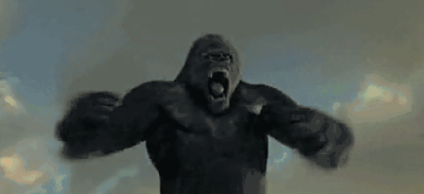 大猩猩发怒捶胸图片