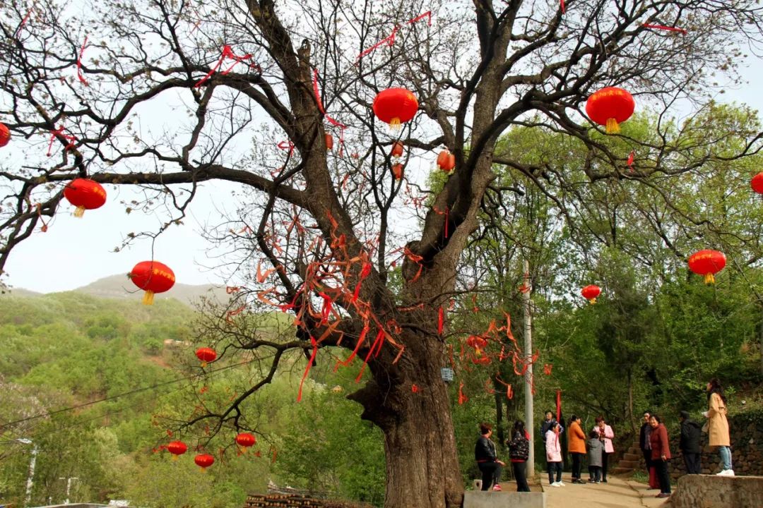 鲁山焦赞山景区图片