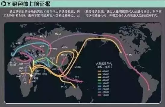 中国人从何而来，请看人类迁移路线图 图4