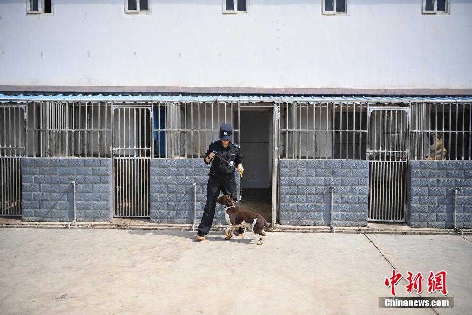 昆明鐵路警方的訓犬警花