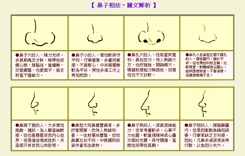 从鼻子看面相女图片