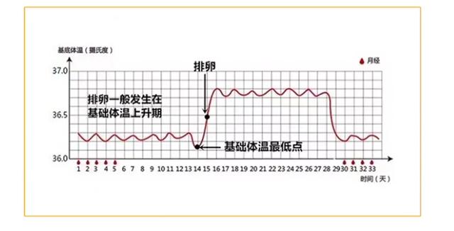 排卵期体温变化图怀孕图片