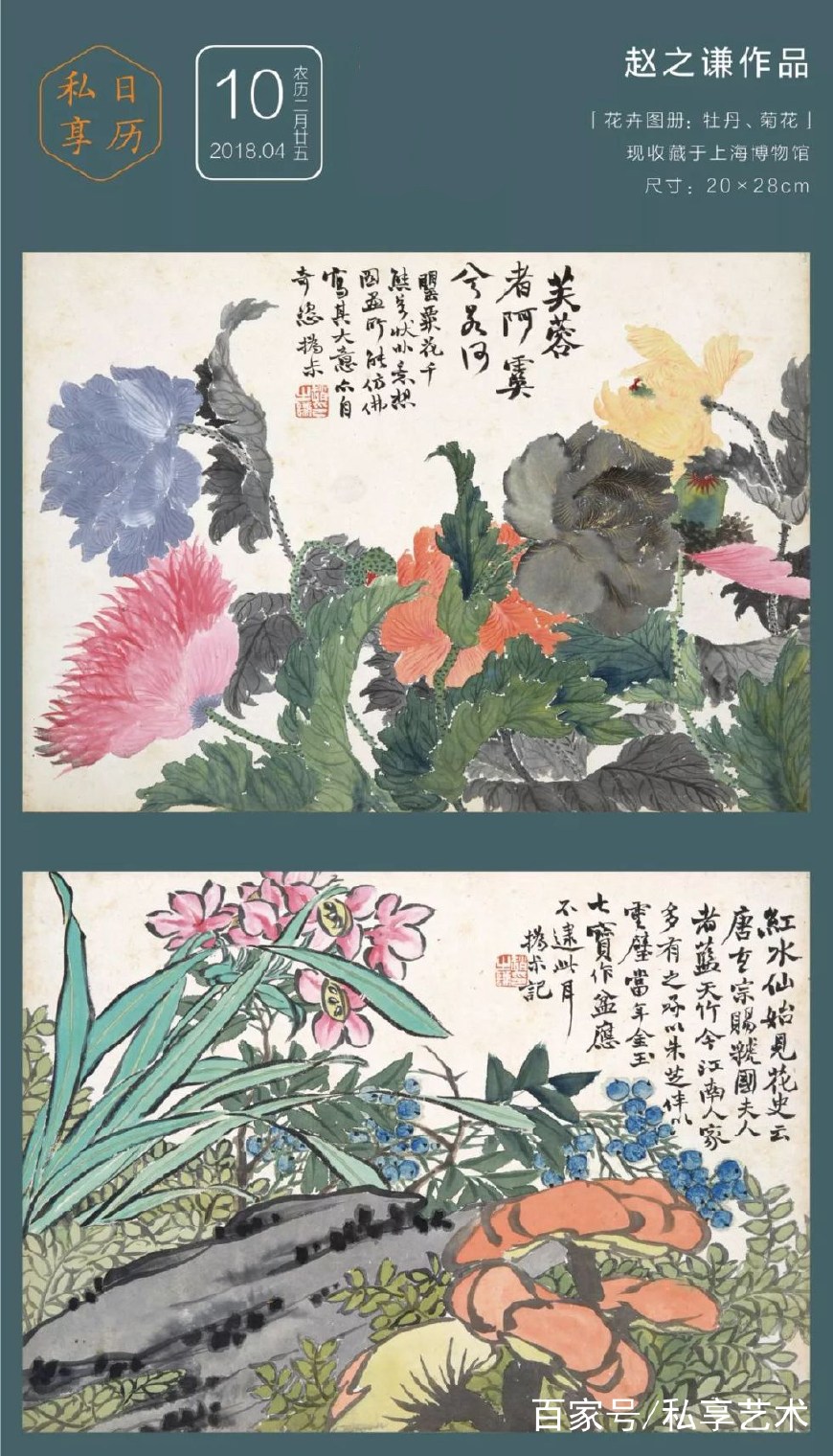 私享日曆丨趙之謙:花卉圖冊-牡丹,菊花