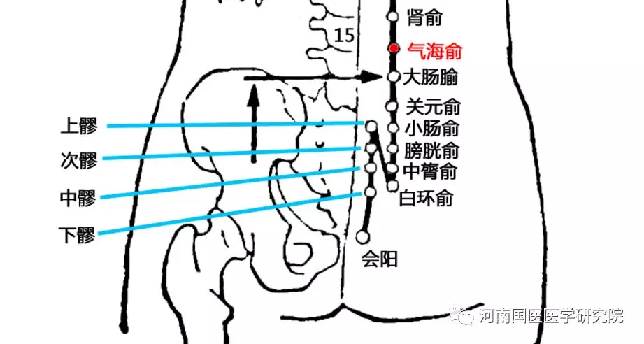 中医专长医师资格考试