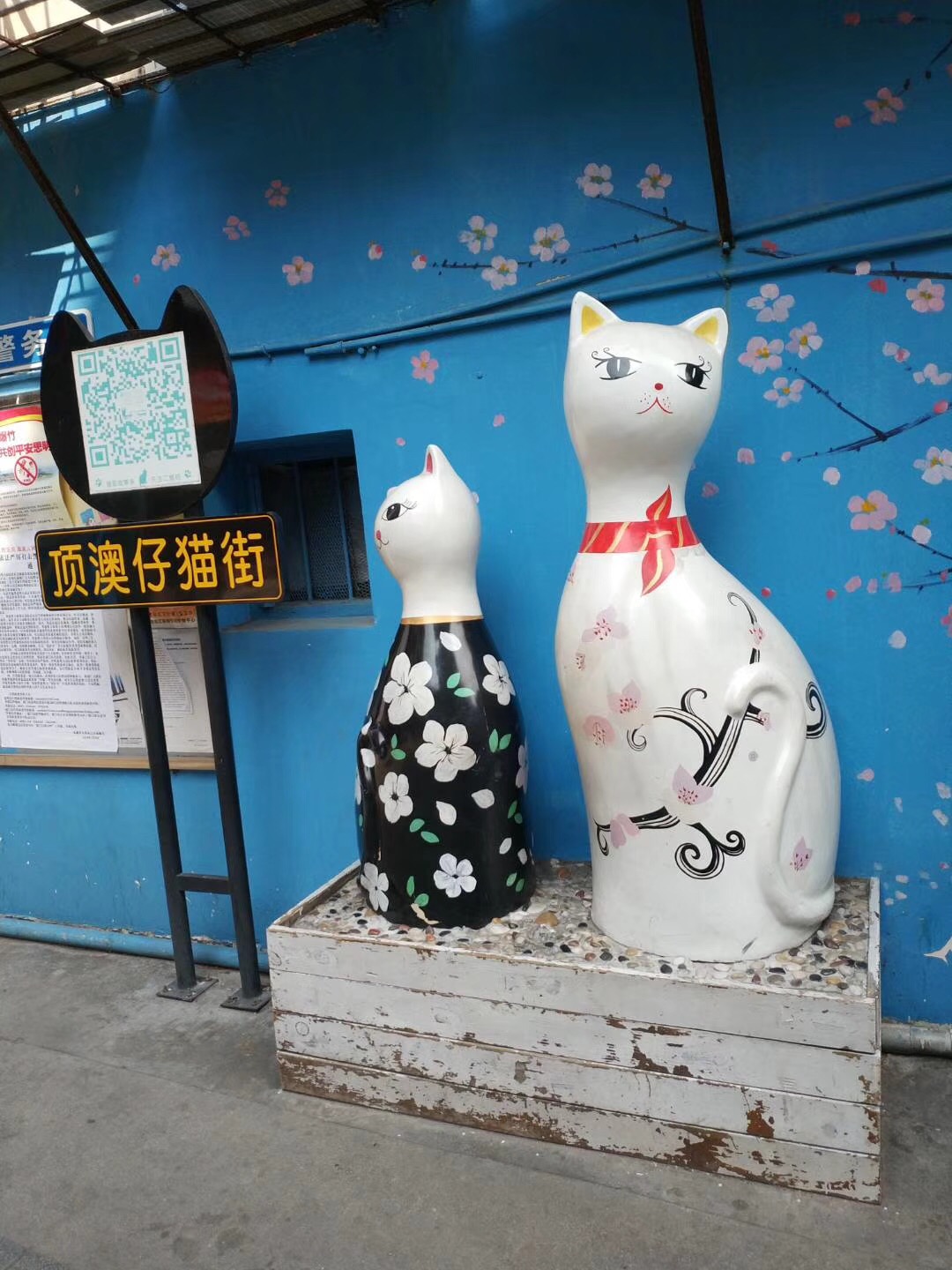 免费的文艺街道:厦门猫街