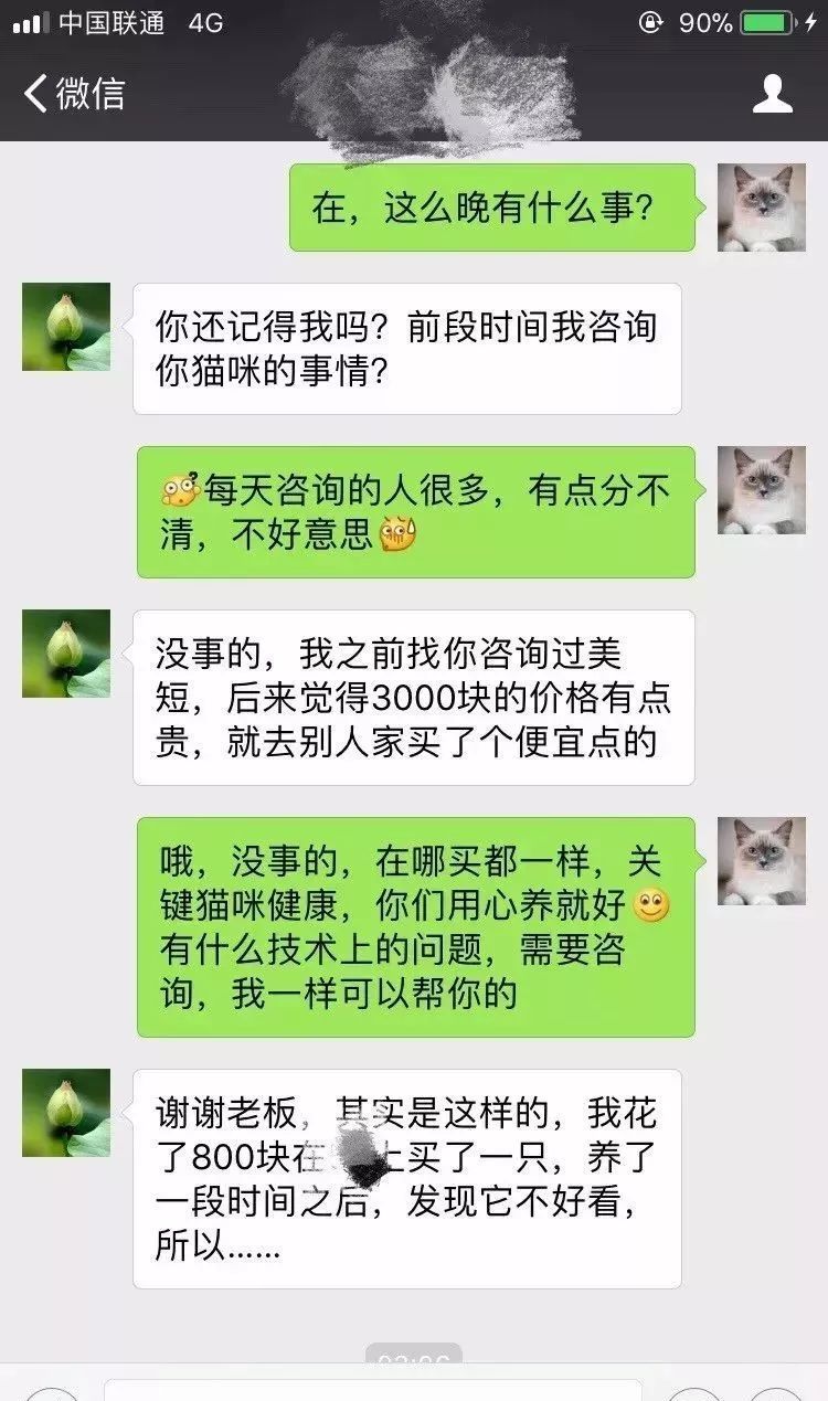 猫舍老板晒跟顾客的聊天记录,原来流浪猫是这样产生的!