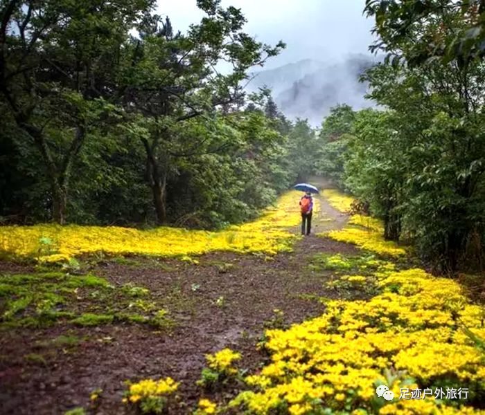 活动召集4月2022日金华北山霞客古道金兰古道轻装穿越活动召集