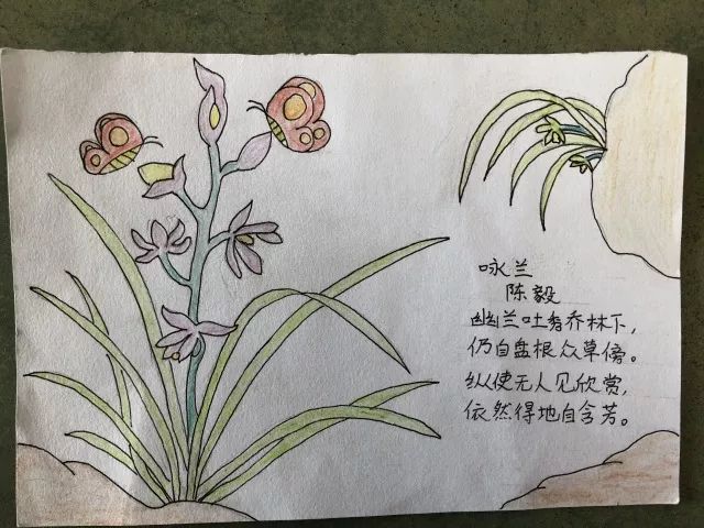 小学生制作兰花名片图片