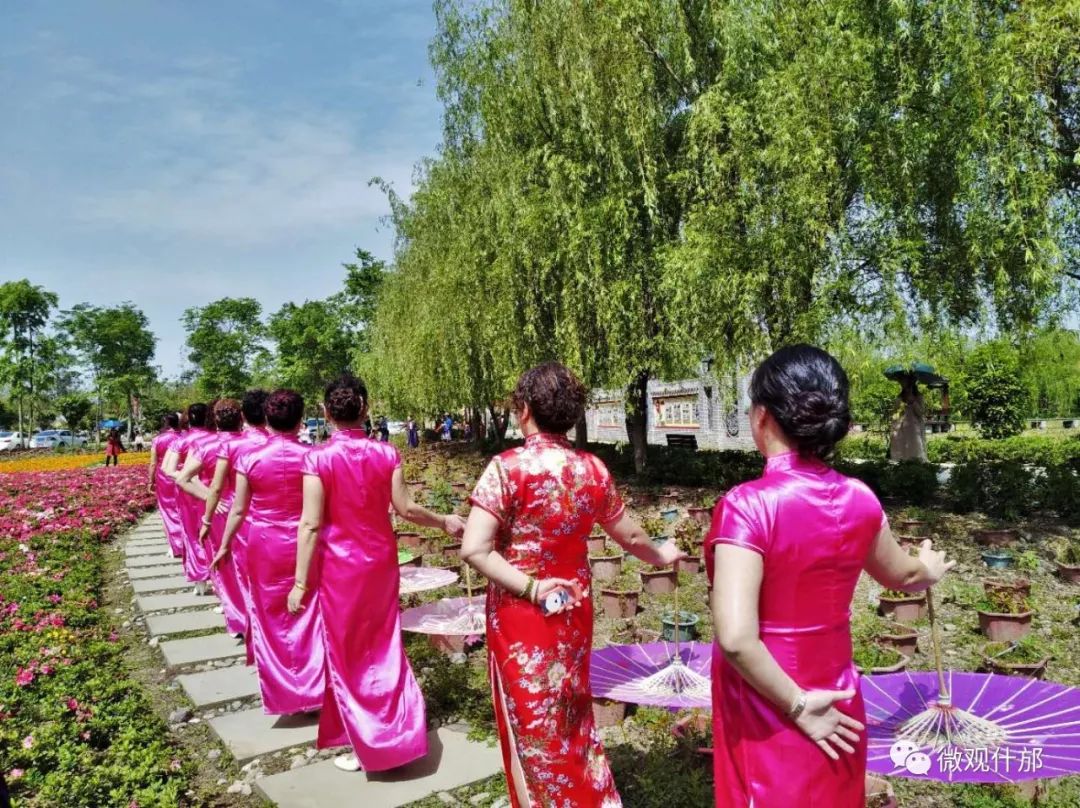 什邡一群旗袍美女驚豔御景園,原來賞花也可以這樣!