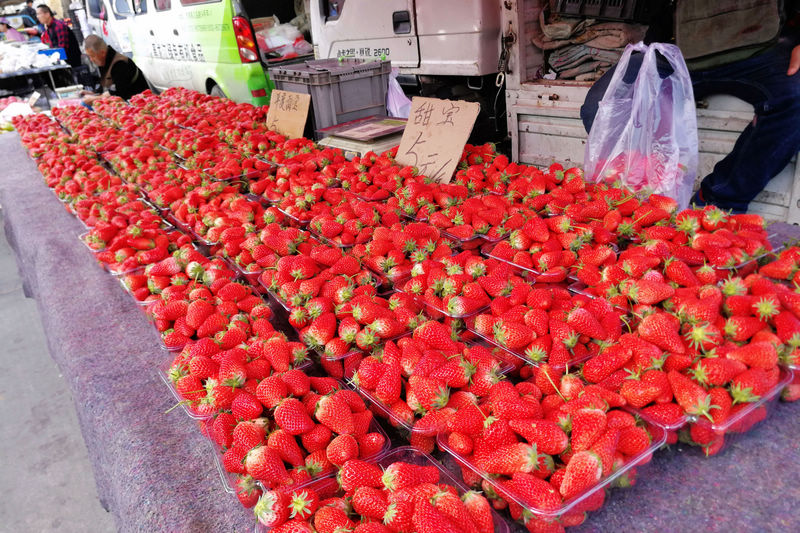 露天草莓上市一出手就低价火拼没有最低只有更低目前最低2块5