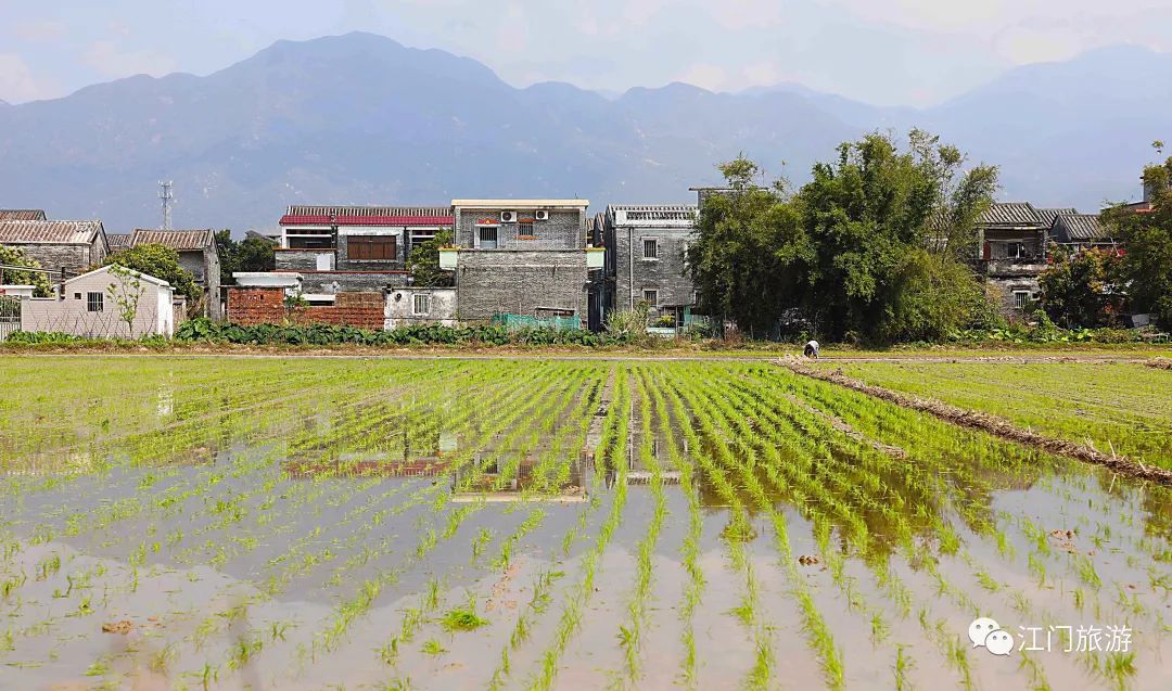 江门山水田园农庄图片