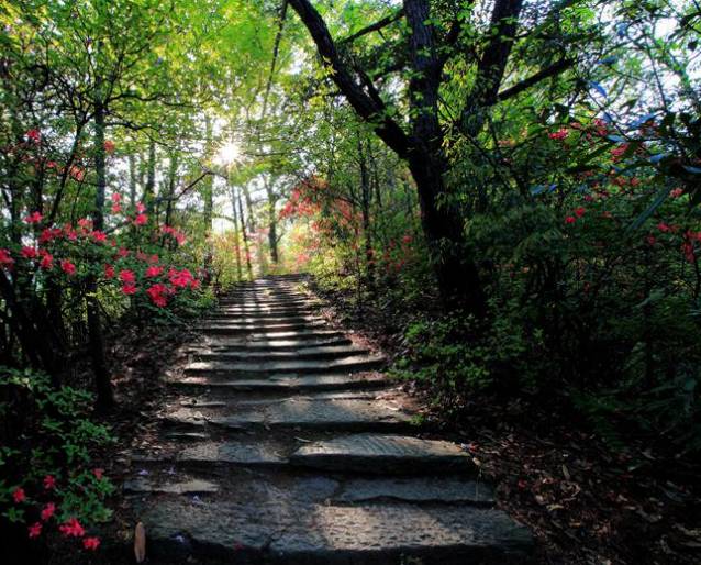 仙潭村景区图片