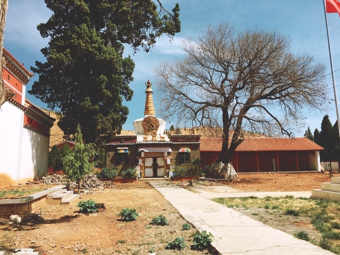 扎美寺扎美寺扎美寺扎美寺扎美寺扎美寺扎美寺扎美寺扎美寺扎美寺扎美