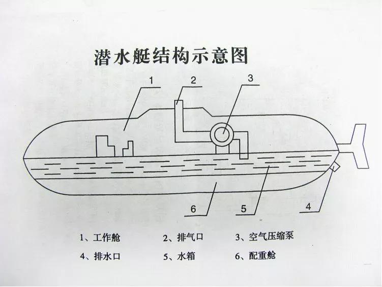 白蜡树级核潜艇结构图图片