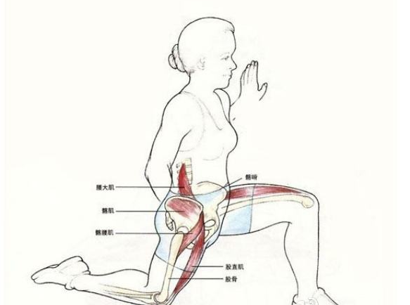 假胯宽大腿粗到底是哪里出问题了呢一招能搞定吗