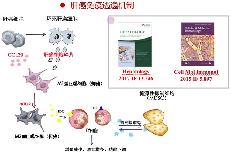 锲而不舍，金石可镂！梁廷波教授团队肝癌研究成果喜获浙江省自然科学奖一等奖！