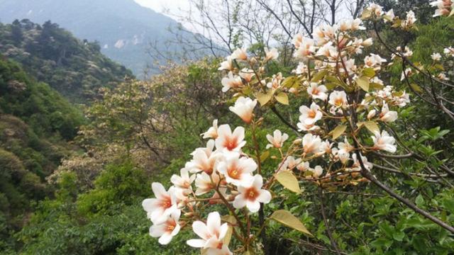 在送别宴上,时年十岁的韩偓即席赋诗,才惊四座.