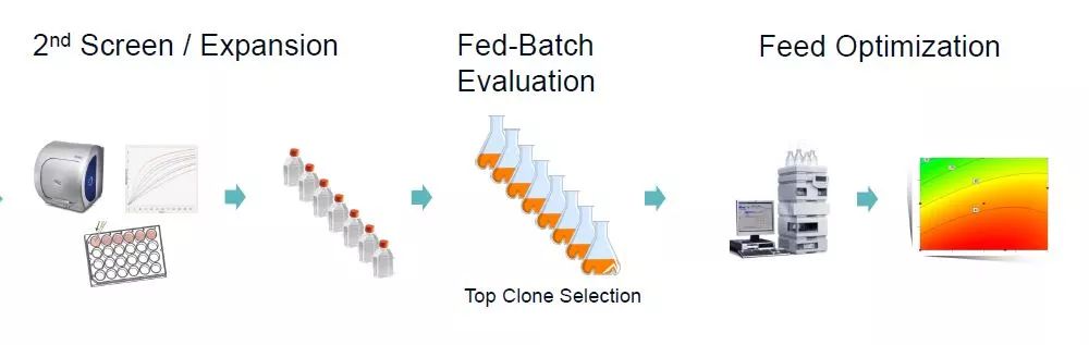 overview of integrated cell line development and media