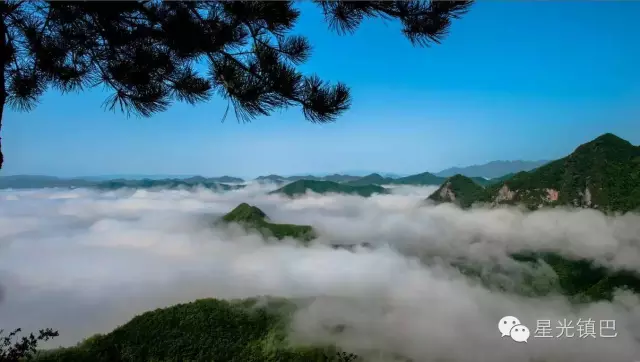 好消息,鎮巴至草壩盤龍山風景區的旅遊公交即將開通運行啦!