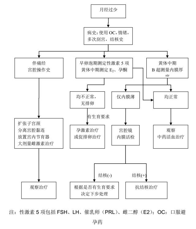 异常子宫出血诊断指南