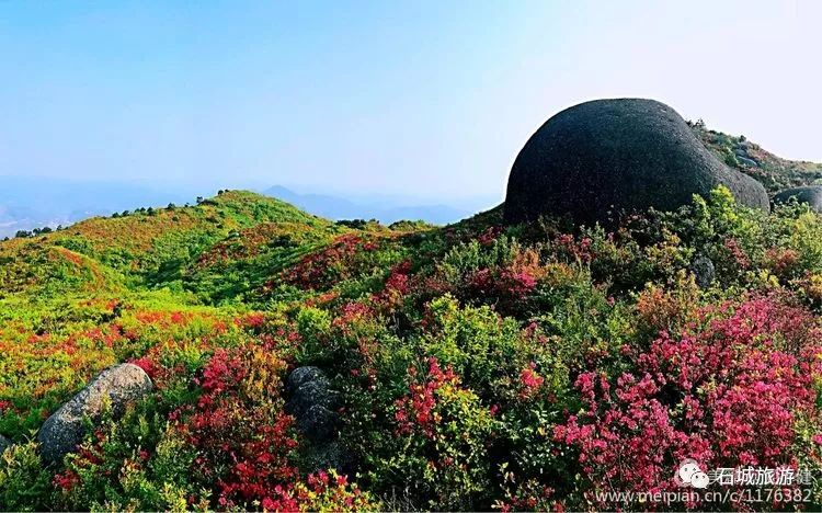 石城小松仙桃景区图片