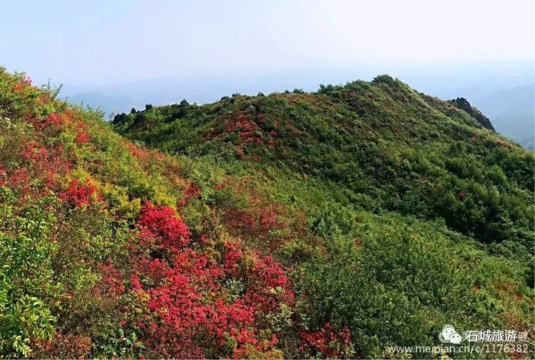 石城小松仙桃景区图片