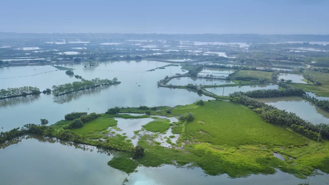 建設博鰲國家農業公園助力海南鄉村振興