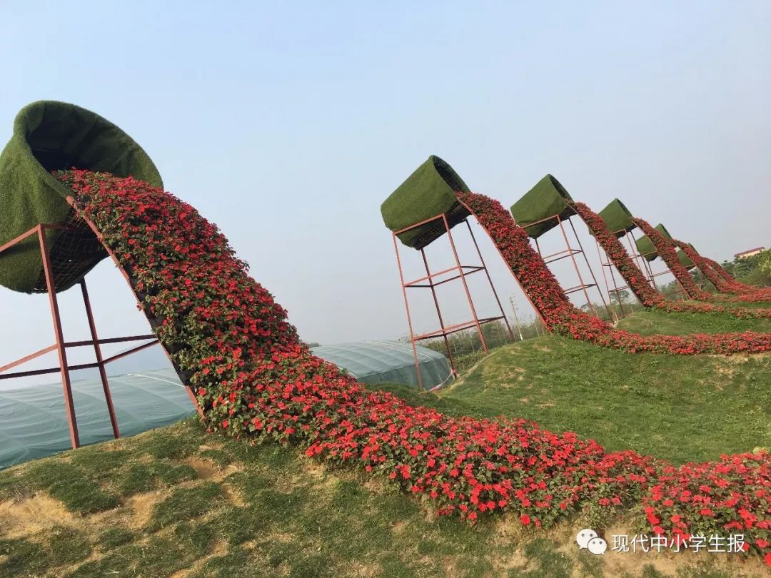 【周末去哪儿】去花卉小镇,看灿烂花海吧!