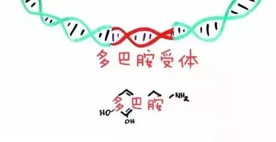 你能判断自己每天吃饭，是生理上饿了还是心理上馋了吗？ 5690