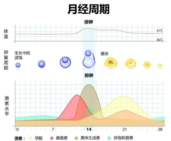 坚持锻炼的女生 在生理期应该怎样运动