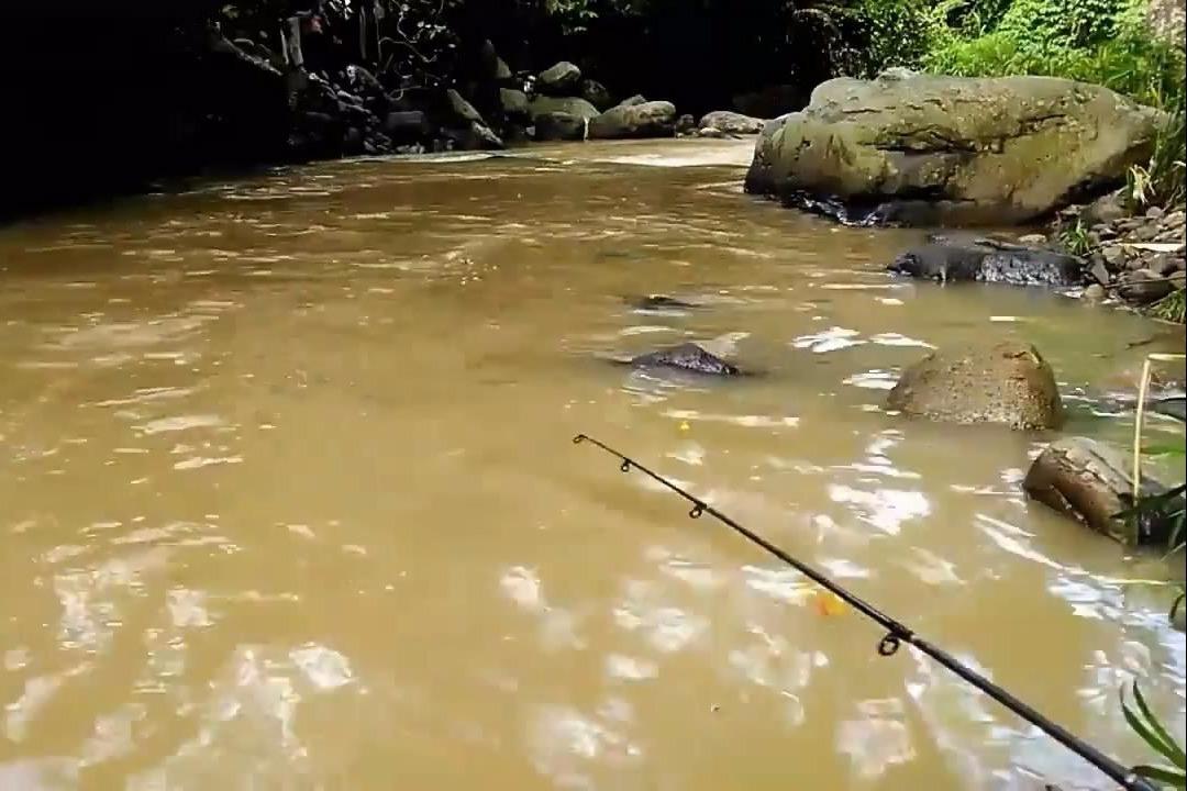 釣魚漲水的山溪釣小魚心情好到沒的說