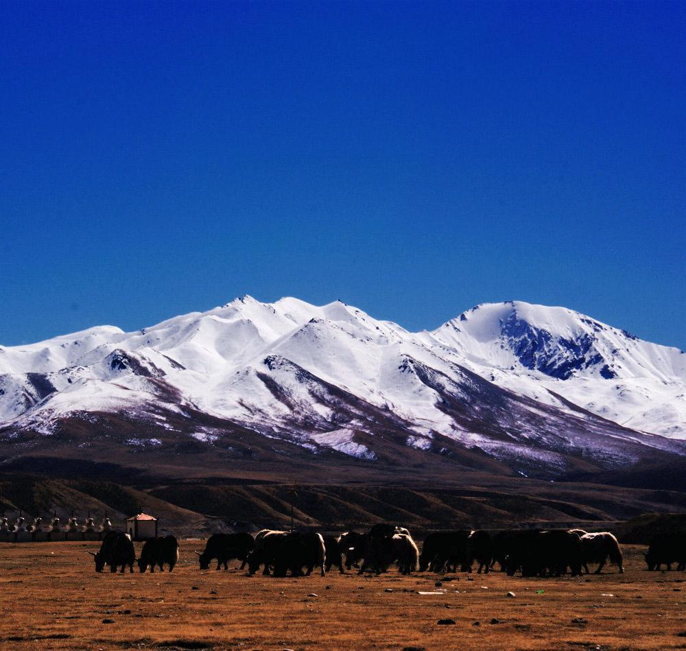 位于玛沁县的雪山乡,是藏传佛教的四大神山之一,神秘又神圣.